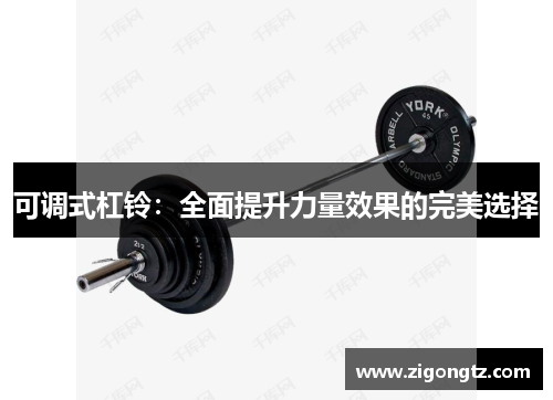 可调式杠铃：全面提升力量效果的完美选择