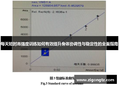 每天短时高强度训练如何有效提升身体协调性与稳定性的全面指南
